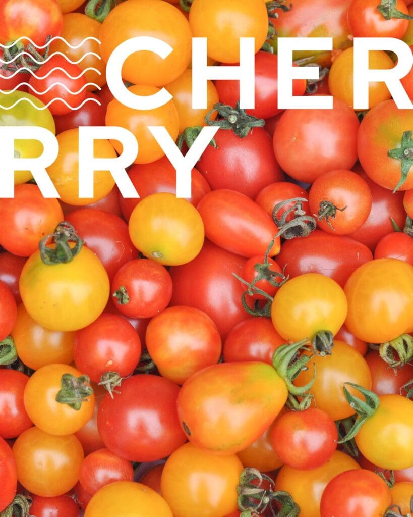 Cherry rajčice