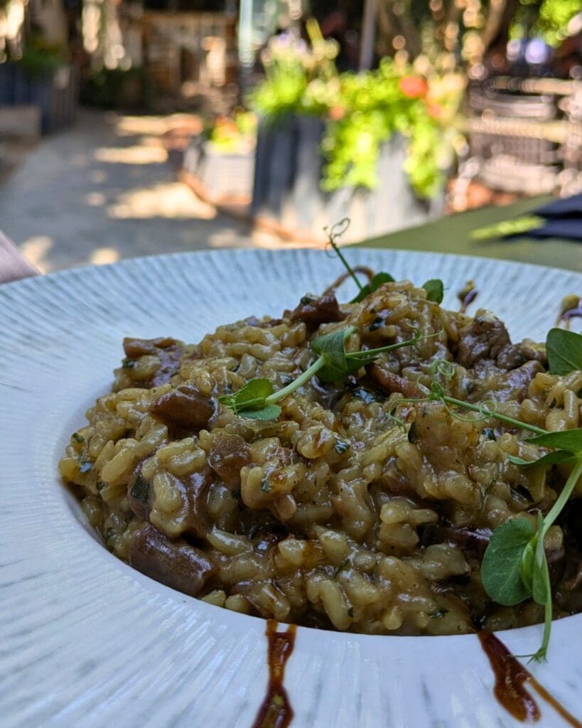 Rižoto od bifteka i vrganja - Restoran Botanist